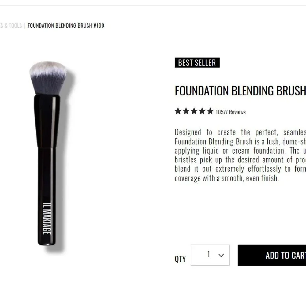 3 X IL MAKIAGE BRUSH #100